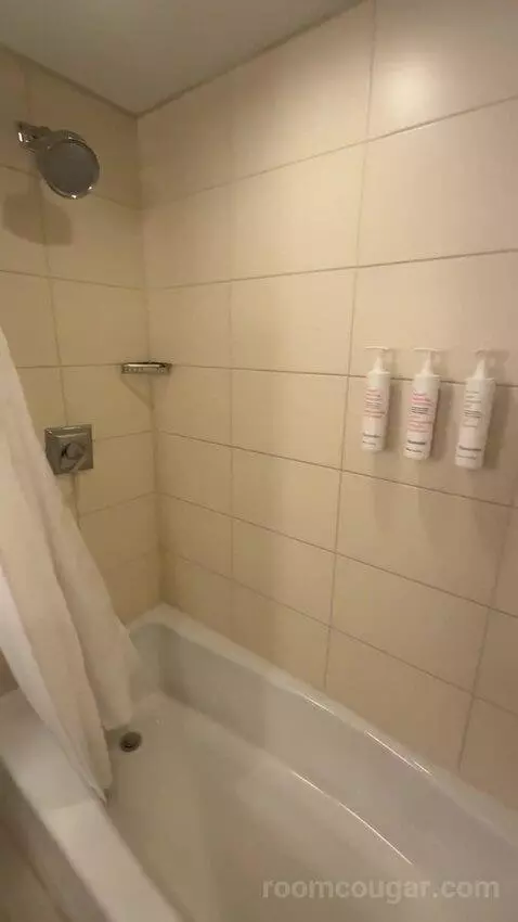 1 Bedroom Suite, 1 King, Sofa Bed (#232) bathroom picture #9