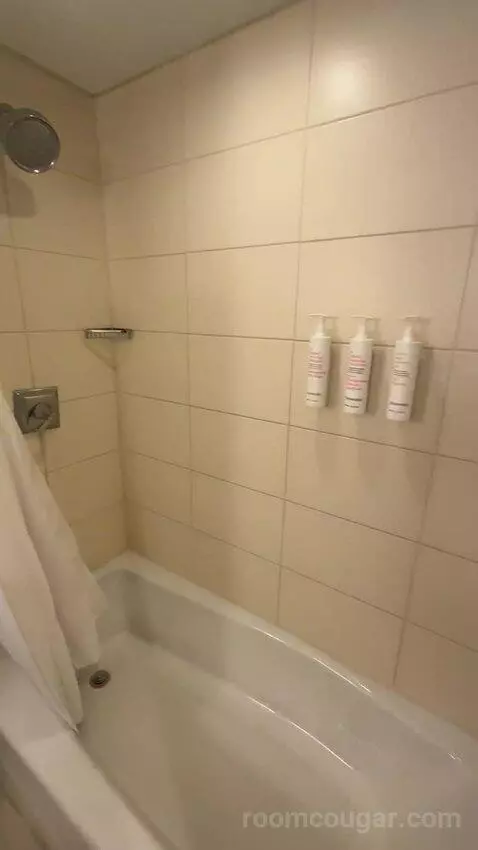 1 Bedroom Suite, 1 King, Sofa Bed (#232) bathroom picture #10
