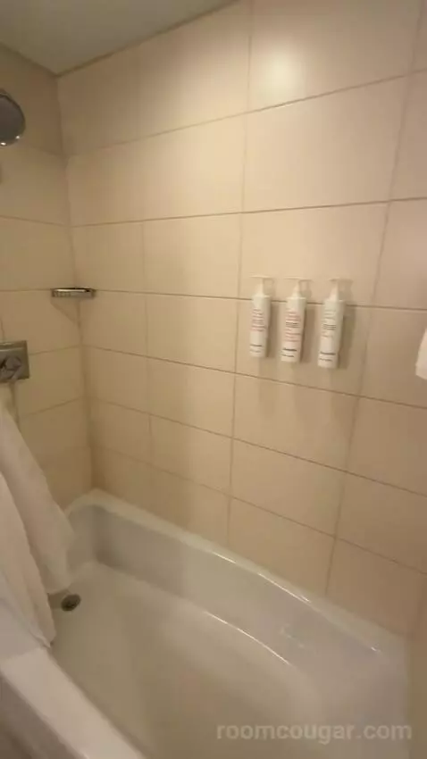 1 Bedroom Suite, 1 King, Sofa Bed (#232) bathroom picture #11
