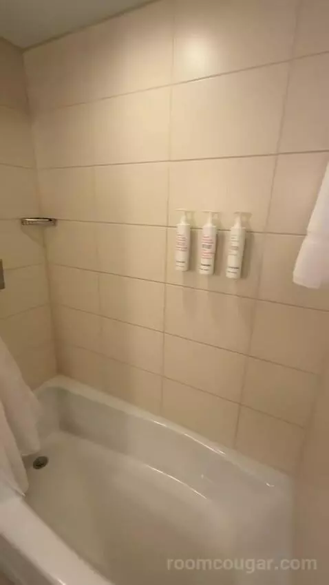 1 Bedroom Suite, 1 King, Sofa Bed (#232) bathroom picture #12
