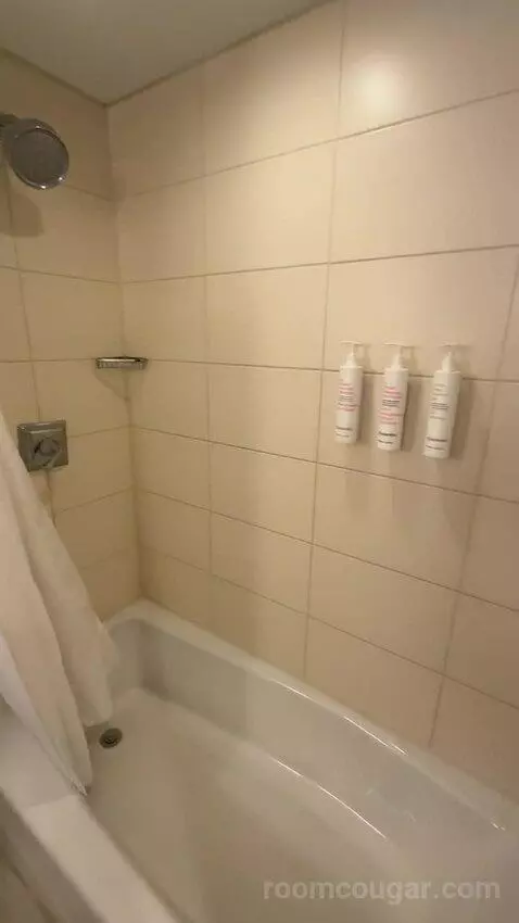 1 Bedroom Suite, 1 King, Sofa Bed (#232) picture #8