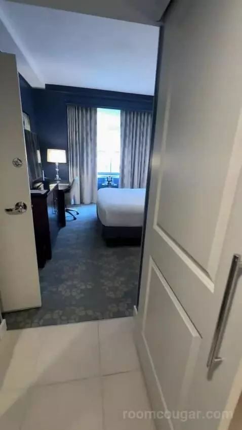 1 Bedroom Suite, 1 King, Sofa Bed (#232) picture #9