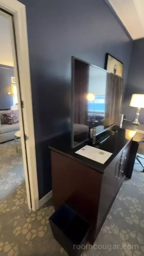 1 Bedroom Suite, 1 King, Sofa Bed (#232) picture #10