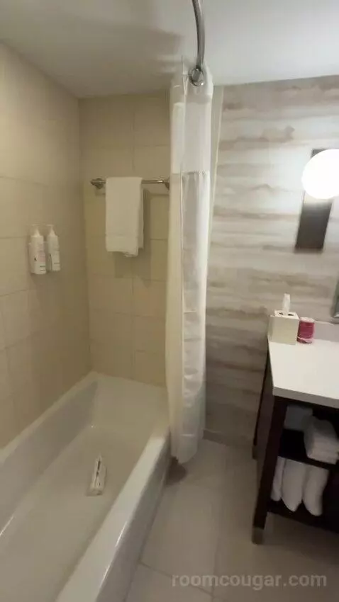 Guest Room with Two Double Beds (#718) bathroom picture #7
