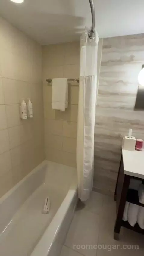 Guest Room with Two Double Beds (#718) bathroom picture #8
