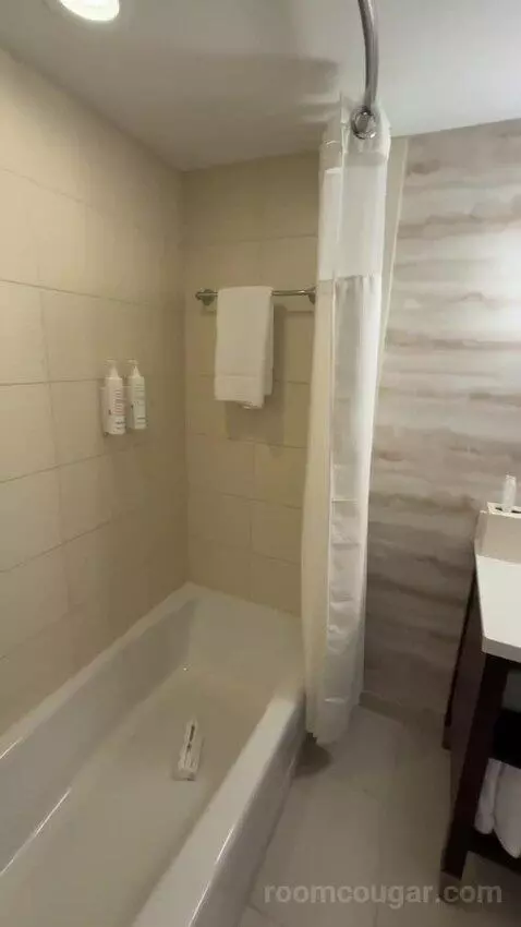 Guest Room with Two Double Beds (#718) bathroom picture #9