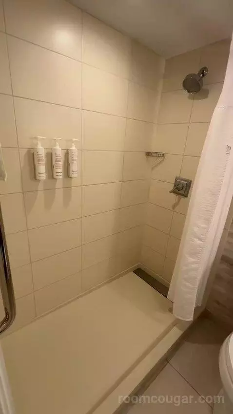 1 King Bed, City View, Guest Room (#312) bathroom picture #2