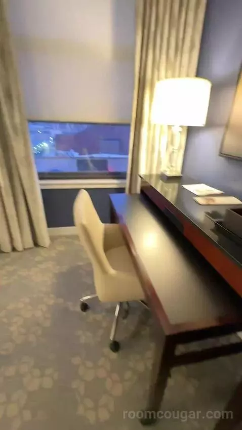 1 King Bed, City View, Guest Room (#312) picture #13