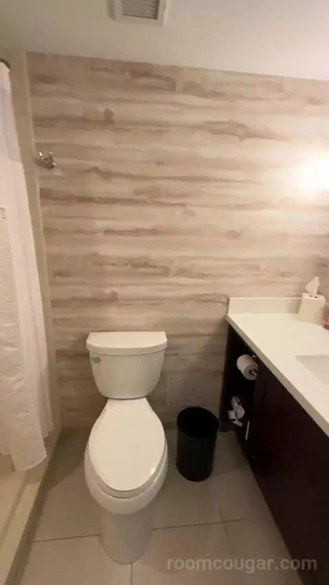 1 King Bed, City View, Guest Room (#312) bathroom picture #7