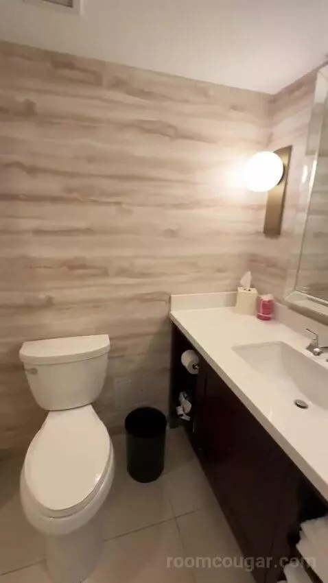 1 King Bed, City View, Guest Room (#312) bathroom picture #9
