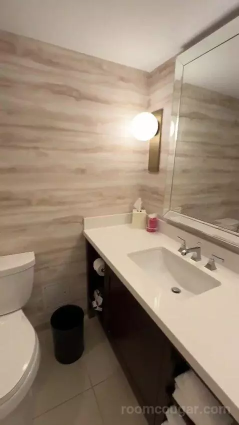 1 King Bed, City View, Guest Room (#312) bathroom picture #11