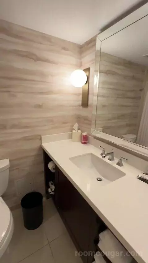 1 King Bed, City View, Guest Room (#312) bathroom picture #12