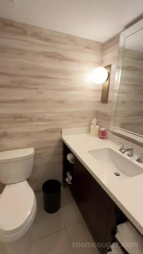 1 King Bed, City View, Guest Room (#312) picture #3