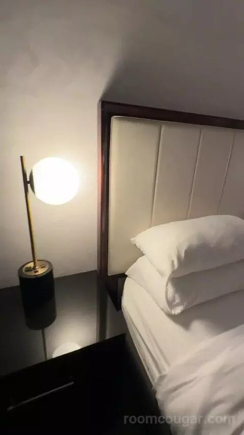 1 King Bed, City View, Guest Room (#312) picture #8