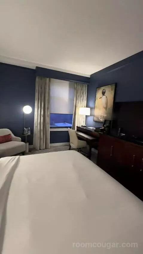 1 King Bed, City View, Guest Room (#312) picture #9