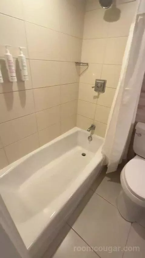 2 Double Beds, Corner, Guest Room (#342) bathroom picture #1