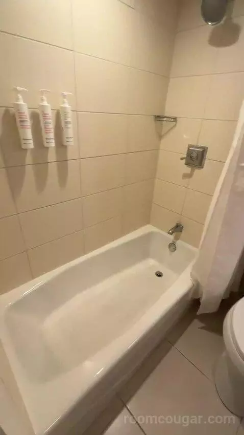 2 Double Beds, Corner, Guest Room (#342) bathroom picture #3