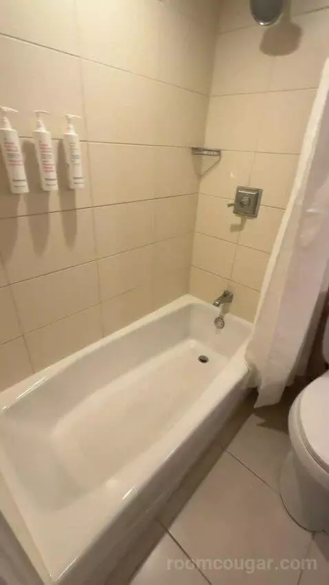 2 Double Beds, Corner, Guest Room (#342) picture #6