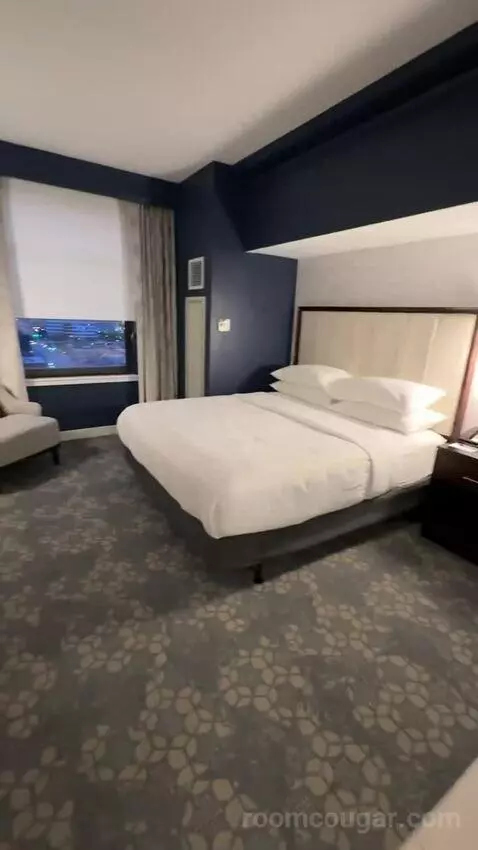 Luxury 2 Bedroom Suite, 2 Bedrooms: 1 King Bed, 1 King Bed, City View, (#1202) picture #14