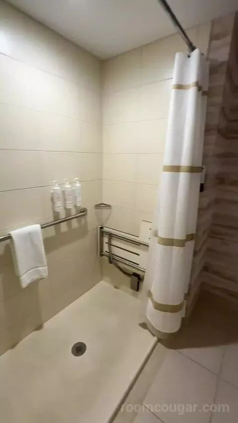 Luxury 2 Bedroom Suite, 2 Bedrooms: 1 King Bed, 1 King Bed, City View, (#1202) bathroom picture #11