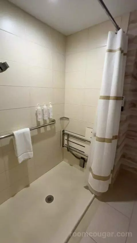 Luxury 2 Bedroom Suite, 2 Bedrooms: 1 King Bed, 1 King Bed, City View, (#1202) bathroom picture #12