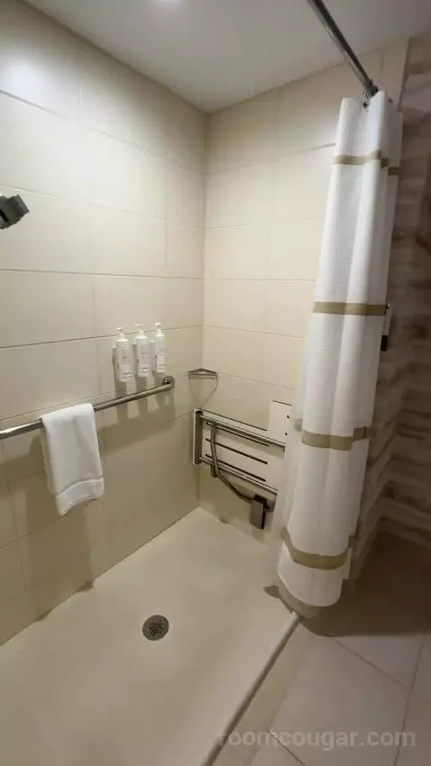Luxury 2 Bedroom Suite, 2 Bedrooms: 1 King Bed, 1 King Bed, City View, (#1202) picture #20