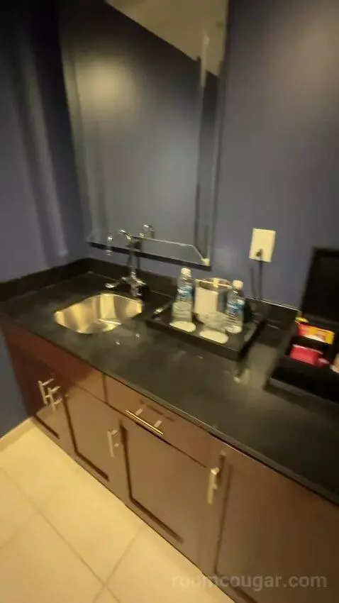 Luxury 2 Bedroom Suite, 2 Bedrooms: 1 King Bed, 1 King Bed, City View, (#1202) picture #3