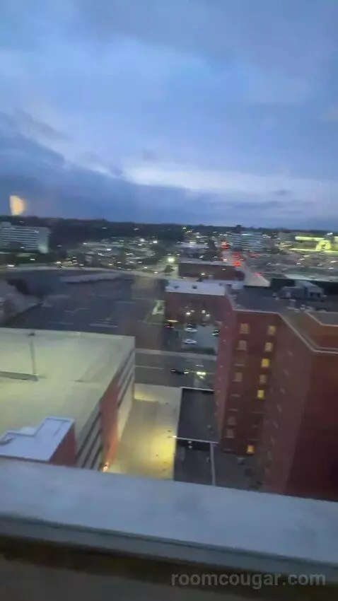 Luxury 2 Bedroom Suite, 2 Bedrooms: 1 King Bed, 1 King Bed, City View, (#1202) view picture #11