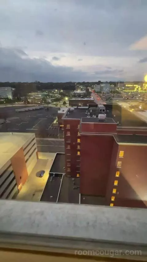 Luxury 2 Bedroom Suite, 2 Bedrooms: 1 King Bed, 1 King Bed, City View, (#1202) picture #10