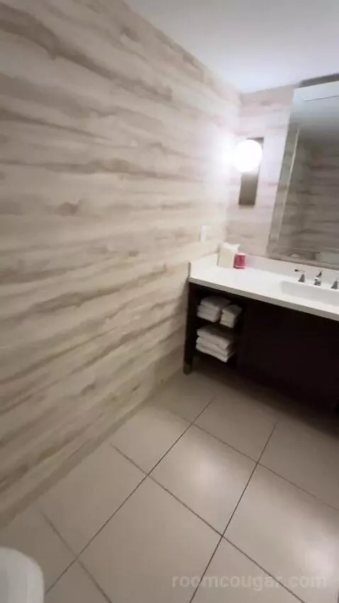 1 King Bed, City View, Corner, Guest Room (#801) bathroom picture #6
