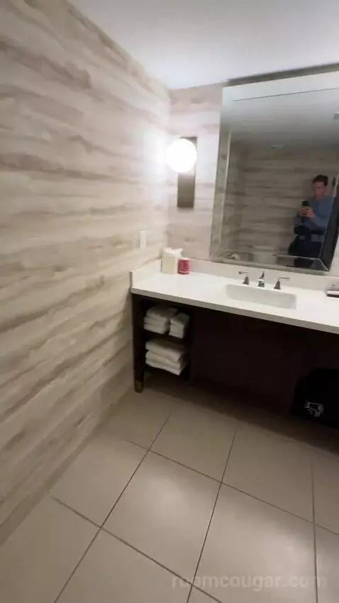 1 King Bed, City View, Corner, Guest Room (#801) bathroom picture #8