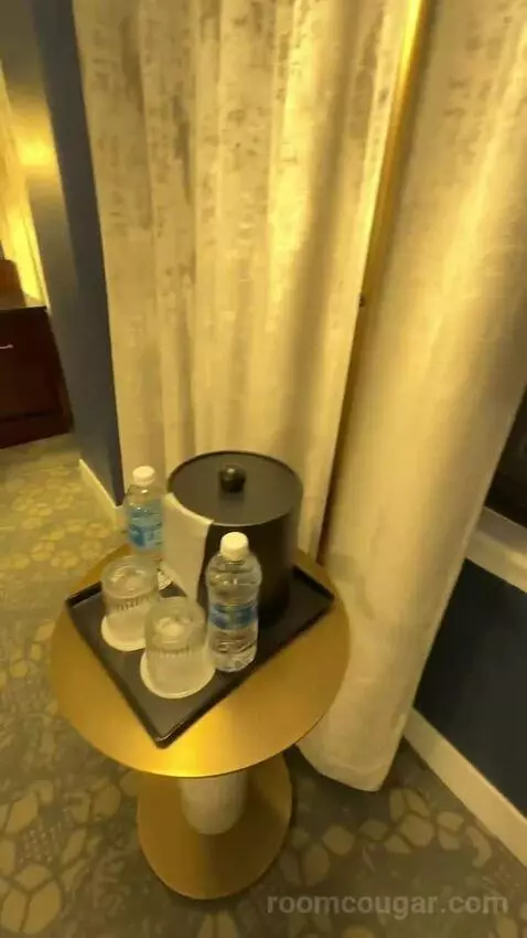 1 King Bed, City View, Corner, Guest Room (#801) picture #24