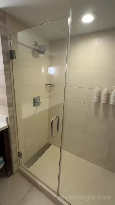 1 King Bed, City View, Corner, Guest Room (#801) bathroom picture #9