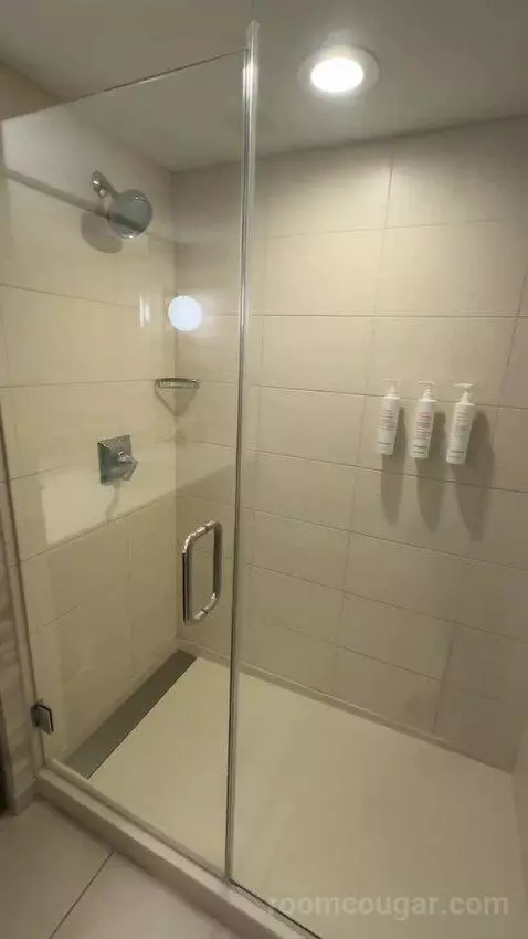 1 King Bed, City View, Corner, Guest Room (#801) bathroom picture #11