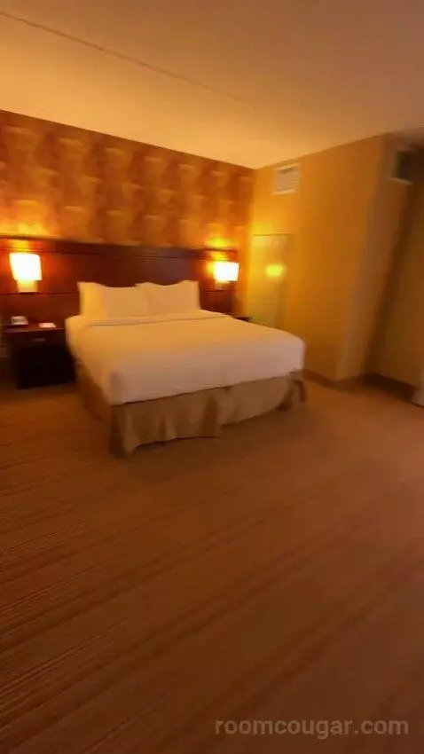 One-Bedroom King Suite with Sofa Bed - City View (#658) bed picture #1