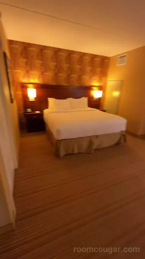One-Bedroom King Suite with Sofa Bed - City View (#658) bed picture #2
