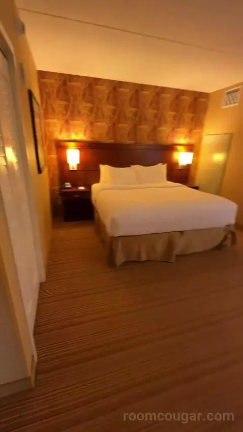 One-Bedroom King Suite with Sofa Bed - City View (#658) bed picture #3