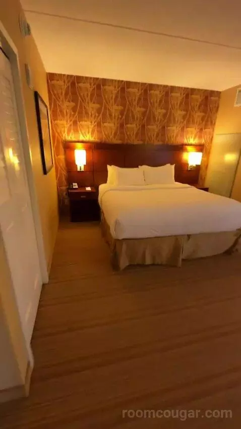 One-Bedroom King Suite with Sofa Bed - City View (#658) bed picture #4