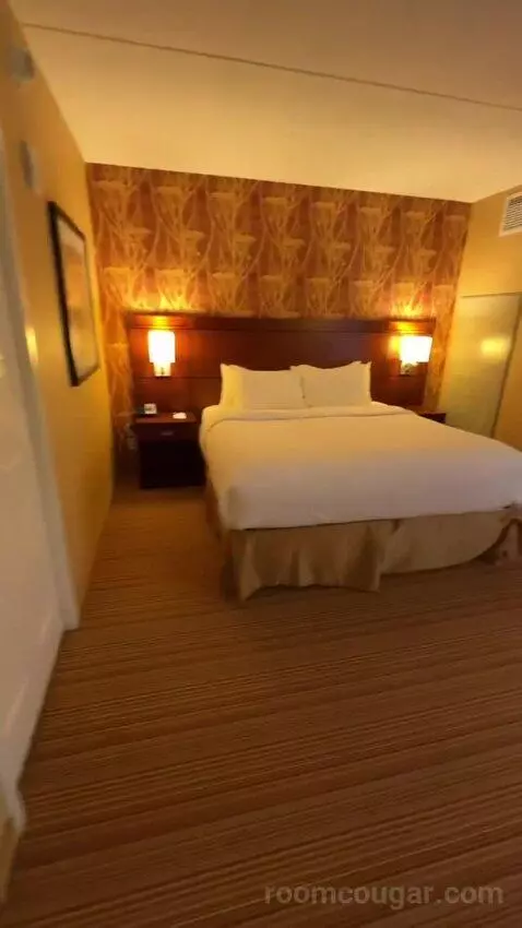 One-Bedroom King Suite with Sofa Bed - City View (#658) bed picture #5