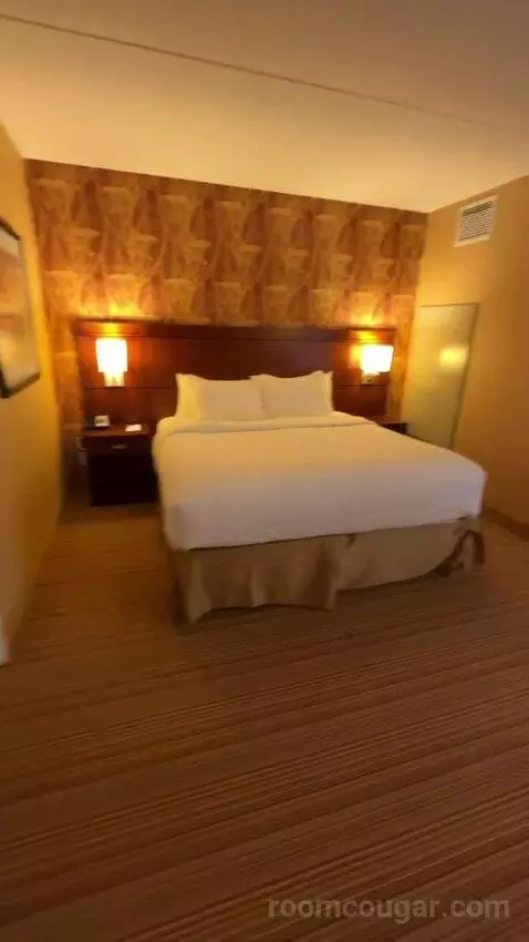 One-Bedroom King Suite with Sofa Bed - City View (#658) bed picture #6