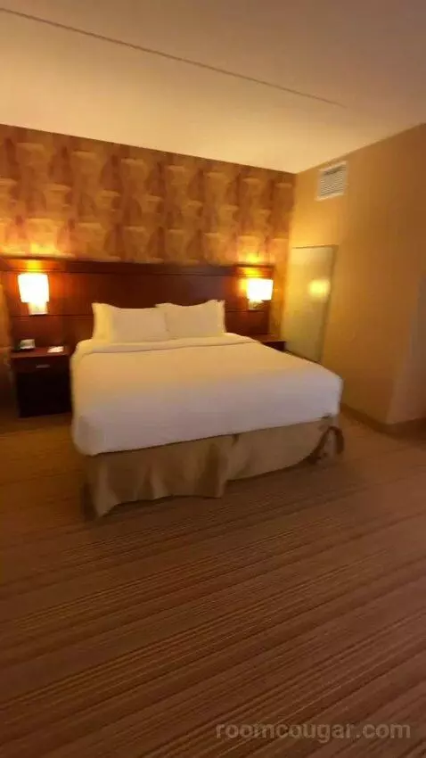 One-Bedroom King Suite with Sofa Bed - City View (#658) bed picture #7