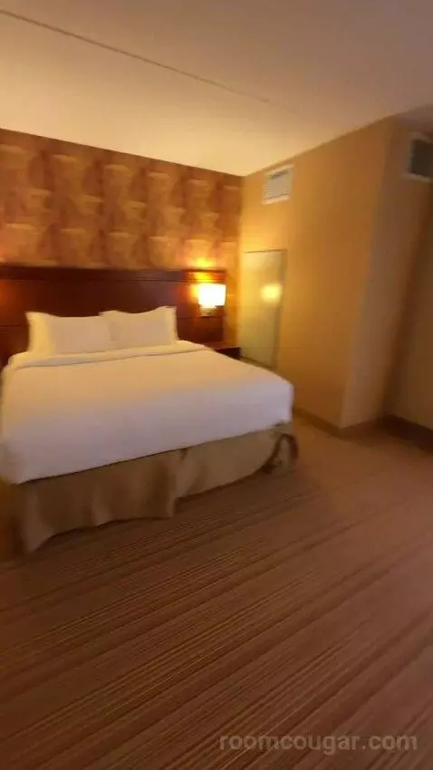 One-Bedroom King Suite with Sofa Bed - City View (#658) bed picture #8