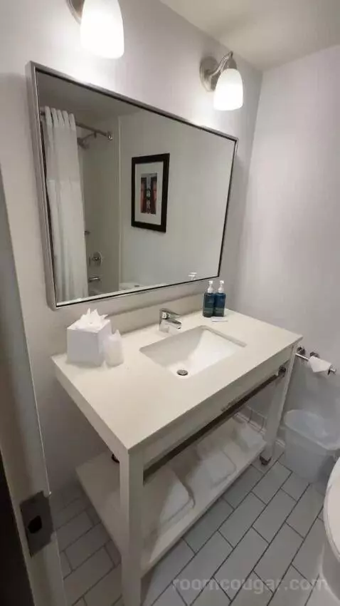 Guest Room, 1 King (#216) bathroom picture #1