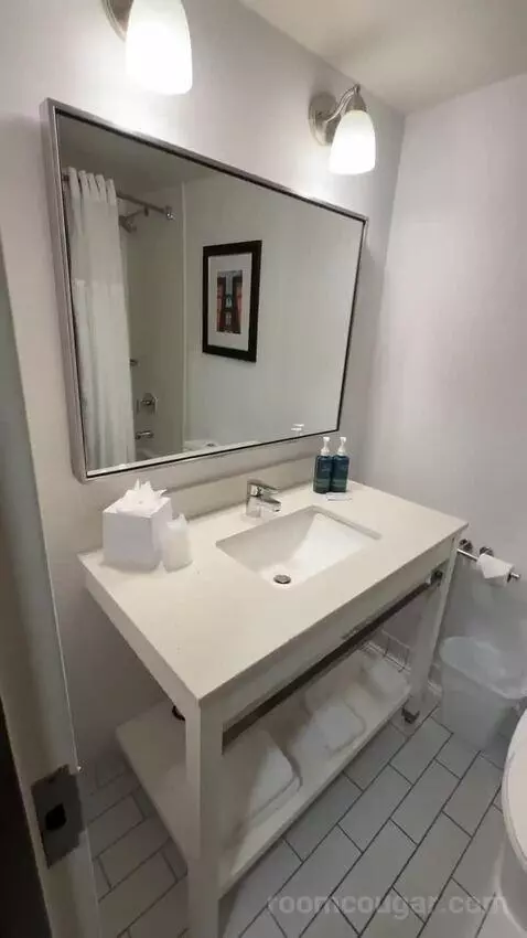 Guest Room, 1 King (#216) bathroom picture #2