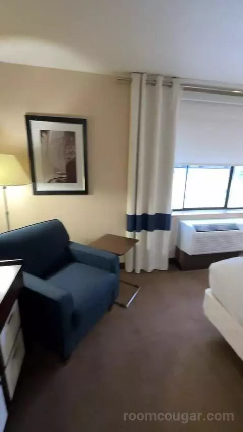 Guest Room, 1 King (#216) picture #13