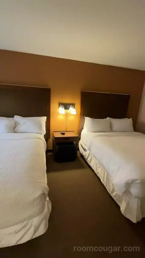 Guest Room, 2 Queen bed picture #10