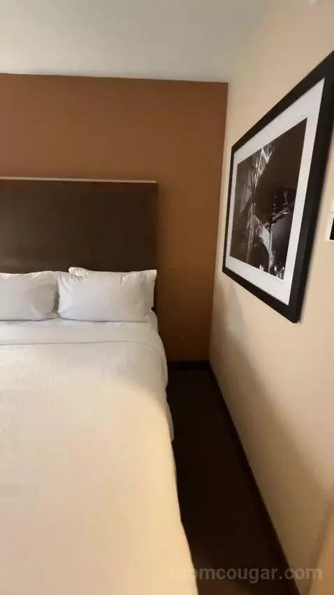 Guest Room, 2 Queen bed picture #3