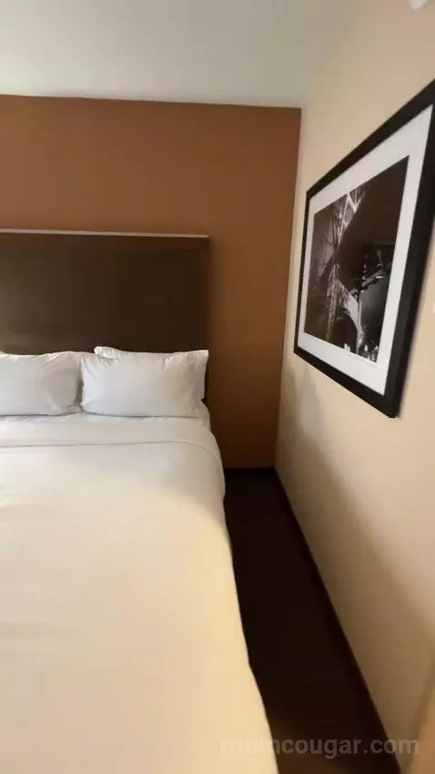 Guest Room, 2 Queen picture #10