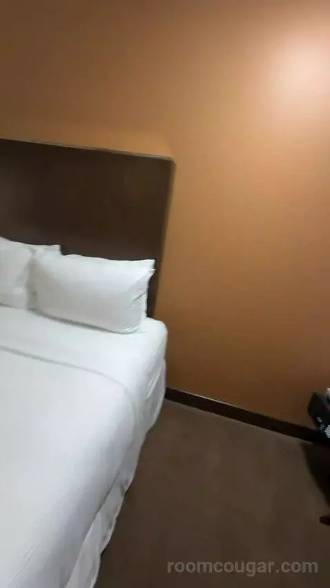 Junior Suite, 2 Queen, Poolside (#273) bed picture #6