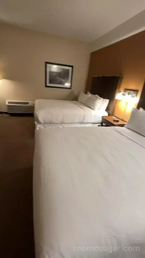 Junior Suite, 2 Queen, Poolside (#273) bed picture #7